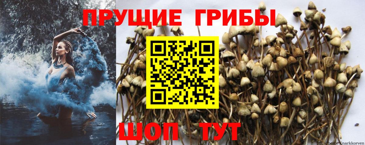 Соль-Илецк  Галлюциногенные грибы ЛСД  Вход с VPN 